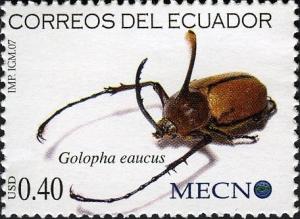 Colnect-1250-311-Rhinoceros-Beetle-Golofa-eaucus.jpg