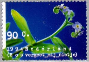 Colnect-178-972-Myosotis-sylvatica.jpg