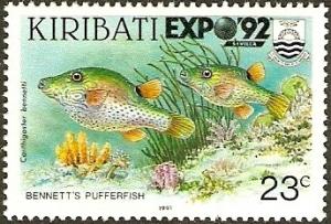 Colnect-2212-571-Bennett--s-Sharpnose-Puffer-Canthigaster-bennetti.jpg