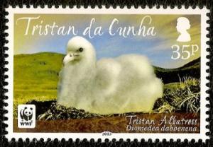 Colnect-2327-390-Tristan-Albatross-Diomedea-exulans-dabbenena.jpg