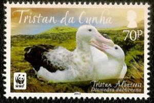 Colnect-2327-392-Tristan-Albatross-Diomedea-exulans-dabbenena.jpg