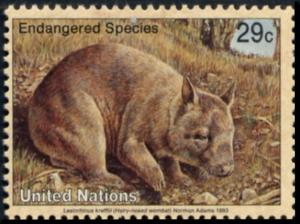 Colnect-2560-605-Northern-Hairy-nosed-Wombat-Lasiorhinus-krefftii.jpg