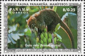 Colnect-3195-720-White-nosed-Coati-Nasua-narica.jpg