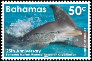 Colnect-3228-856-Common-Bottlenose-Dolphin-Tursiops-truncatus.jpg