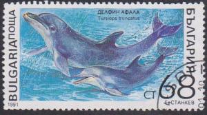 Colnect-4534-471-Common-Bottlenose-Dolphin-Tursiops-truncatus.jpg