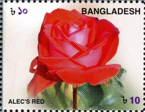 Colnect-5122-356-Roses---Alec-s-Red.jpg