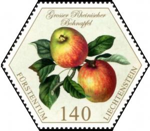 Colnect-5277-442-Apples---Grosser-Rheinischer-Bohnapfel.jpg