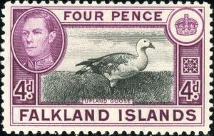 Colnect-5754-611-Greater-Upland-Goose-Chloephaga-picta-leucoptera-.jpg