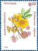 Colnect-556-002-Cochlospermum-religiosum.jpg