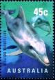 Colnect-1308-541-Common-Bottlenose-Dolphin-Tursiops-truncatus.jpg