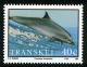 Colnect-1715-733-Common-Bottlenose-Dolphin-Tursiops-truncatus.jpg