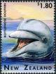 Colnect-2322-175-Common-Bottlenose-Dolphin-Tursiops-truncatus.jpg