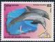 Colnect-2861-481-Common-Bottlenose-Dolphin-Tursiops-truncatus.jpg