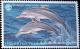 Colnect-3411-412-Common-Bottlenose-Dolphin-Tursiops-truncatus.jpg