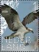 Colnect-6331-860-Western-Osprey-Pandion-haliaetus.jpg