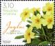 Colnect-6335-343-Primrose-Primula-vulgaris.jpg