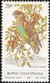 Colnect-1456-685-Meyer-s-Parrot-Poicephalus-meyeri-meyeri.jpg