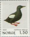 Colnect-161-999-Black-Guillemot-or-Tystie-Cepphus-grylle.jpg