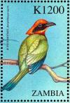 Colnect-3507-675-Rufous-Motmot%C2%A0-%C2%A0Baryphthengus-martii.jpg