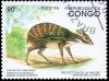 Colnect-3515-548-Water-Chevrotain-Hyemoschus-aquaticus.jpg