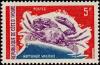 Colnect-3704-085-Senegalese-Smooth-Swimcrab-Neptunus-validus.jpg