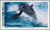 Colnect-6004-520-Oommon-or-Atlantic-Bottlenose-Dolphin-Tursiops-truncatus.jpg