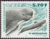 Colnect-878-683-Long-finned-Pilot-Whale-Globicephala-melaena.jpg