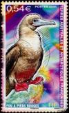 Colnect-889-458-Red-footed-Booby-Sula-sula.jpg