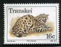 Colnect-1713-678-Black-footed-Cat-Felis-nigripes.jpg