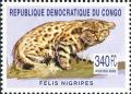 Colnect-2624-461-Black-footed-Cat-Felis-nigripes.jpg