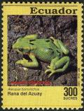 Colnect-2907-542-Azuay-Stubfoot-Toad-Atelopus-bomolochos.jpg