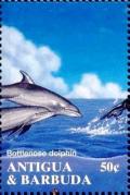 Colnect-4112-750-Bottlenose-dolphin.jpg