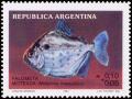 Colnect-4947-313-Palometa-Moteada-Metynnis-maculatus.jpg