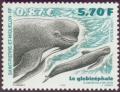 Colnect-878-683-Long-finned-Pilot-Whale-Globicephala-melaena.jpg