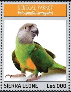 Colnect-3565-904-Senegal-Parrot%C2%A0-%C2%A0Poicephalus-senegalus.jpg