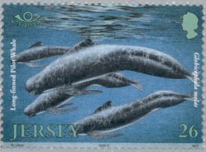 Colnect-127-865-Long-finned-Pilot-Whale-Globicephala-melaena.jpg