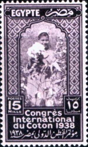 Colnect-1281-946-International-Cotton-Congress---Cotton-Picker.jpg