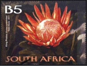 Colnect-1625-327-King-Protea-Protea-cynaroides.jpg