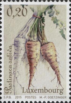 Colnect-3071-665-Root-Crops---Parsnip.jpg