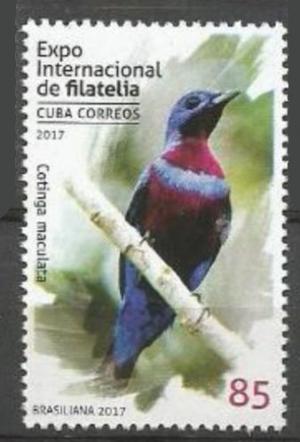 Colnect-4700-568-Banded-Cotinga-Cotinga-maculata.jpg