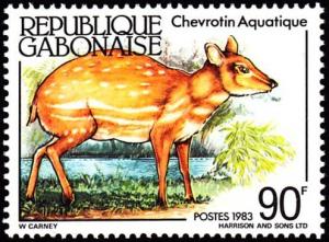 Colnect-5146-885-Water-Chevrotain-Hyemoschus-aquaticus-.jpg