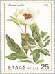 Colnect-174-043-Peony--quot-Paeonia-rhodia-quot-.jpg