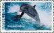 Colnect-6004-520-Oommon-or-Atlantic-Bottlenose-Dolphin-Tursiops-truncatus.jpg