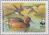 Colnect-5681-501-Ferruginous-Duck%C2%A0Aythya-nyroca.jpg