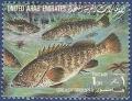 Colnect-2133-968-Greasy-Grouper-Epinephelus-tauvina.jpg