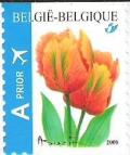 Colnect-575-979-Tulip-Orange-favourite-Selfadh-Top-imperforate.jpg