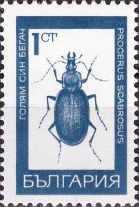 Colnect-3665-251-Huge-Violet-Ground-Beetle-Carabus-scabrosus.jpg