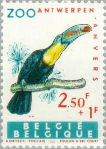 Colnect-184-531-Keel-billed-Toucan-Ramphastos-sulfuratus.jpg