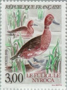 Colnect-146-147-Ferruginous-Duck-Aythya-nyroca.jpg