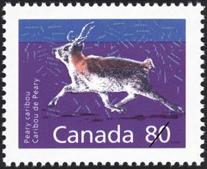 Colnect-1018-314-Peary-Caribou-Rangifer-tarandus-pearyi.jpg